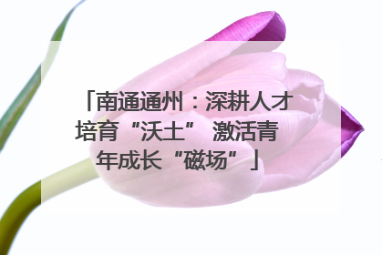 南通通州：深耕人才培育“沃土” 激活青年成长“磁场”
