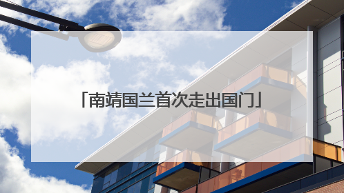 南靖国兰首次走出国门