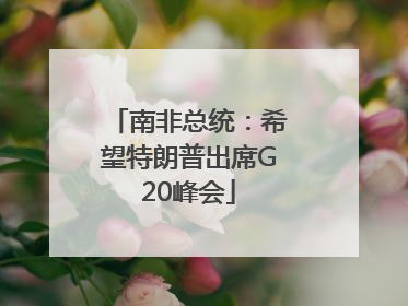 南非总统：希望特朗普出席G20峰会