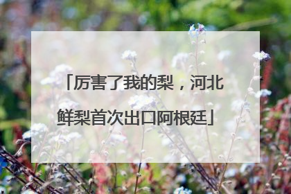 厉害了我的梨，河北鲜梨首次出口阿根廷
