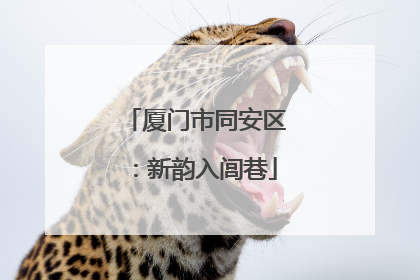 厦门市同安区：新韵入闾巷