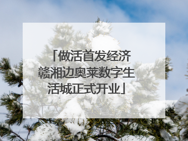 做活首发经济 赣湘边奥莱数字生活城正式开业