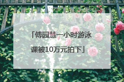 傅园慧一小时游泳课被10万元拍下