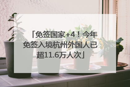免签国家+4！今年免签入境杭州外国人已超11.6万人次