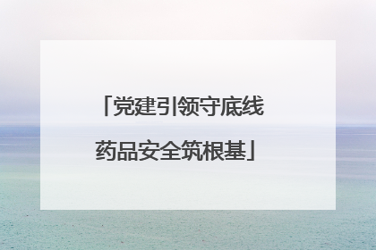 党建引领守底线 药品安全筑根基