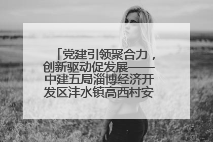 党建引领聚合力，创新驱动促发展——中建五局淄博经济开发区沣水镇高西村安置项目建设纪实