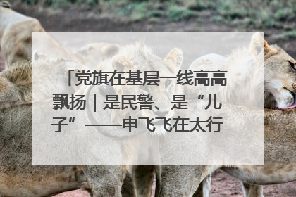 党旗在基层一线高高飘扬｜是民警、是“儿子”——申飞飞在太行山中的一线坚守