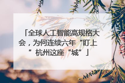全球人工智能高规格大会，为何连续六年“盯上”杭州这座“城”