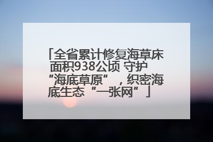 全省累计修复海草床面积938公顷 守护“海底草原”，织密海底生态“一张网”