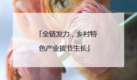 全链发力，乡村特色产业拔节生长