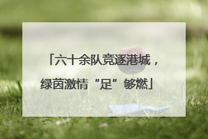 六十余队竞逐港城，绿茵激情“足”够燃