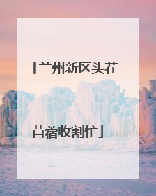 兰州新区头茬苜蓿收割忙