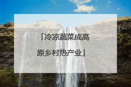 冷凉蔬菜成高原乡村热产业