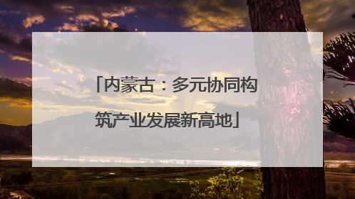 内蒙古：多元协同构筑产业发展新高地