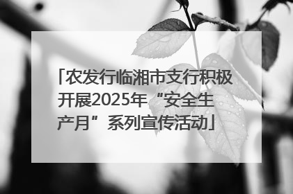 农发行临湘市支行积极开展2025年“安全生产月”系列宣传活动
