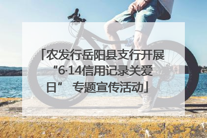 农发行岳阳县支行开展“6·14信用记录关爱日” 专题宣传活动