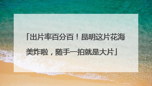 出片率百分百！昆明这片花海美炸啦，随手一拍就是大片