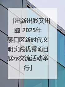 出新出彩又出圈 2025年硚口区新时代文明实践优秀项目展示交流活动举行
