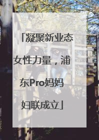 凝聚新业态女性力量，浦东Pro妈妈妇联成立