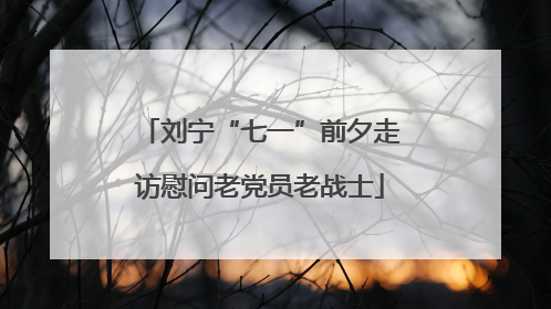 刘宁“七一”前夕走访慰问老党员老战士
