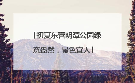初夏东营明潭公园绿意盎然，景色宜人