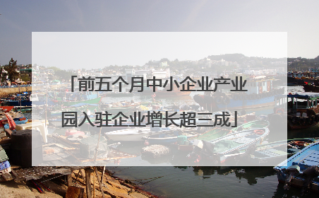 前五个月中小企业产业园入驻企业增长超三成