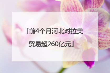 前4个月河北对拉美贸易超260亿元