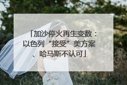 加沙停火再生变数：以色列“接受”美方案、哈马斯不认可