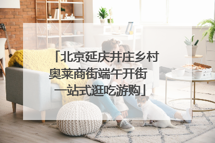 北京延庆井庄乡村奥莱商街端午开街 一站式逛吃游购