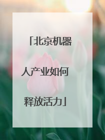 北京机器人产业如何释放活力