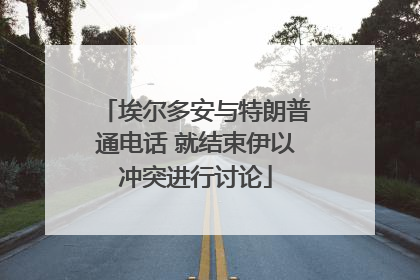 埃尔多安与特朗普通电话 就结束伊以冲突进行讨论
