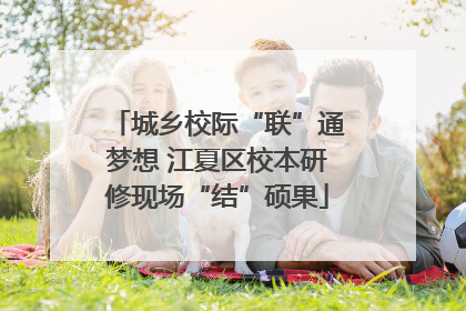 城乡校际“联”通梦想 江夏区校本研修现场“结”硕果