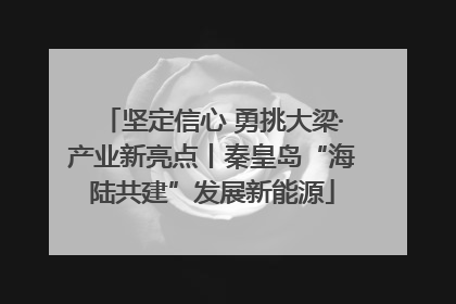 坚定信心 勇挑大梁·产业新亮点丨秦皇岛“海陆共建”发展新能源