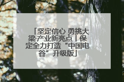 坚定信心 勇挑大梁·产业新亮点丨保定全力打造“中国电谷”升级版