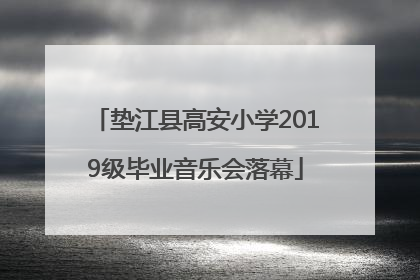 垫江县高安小学2019级毕业音乐会落幕