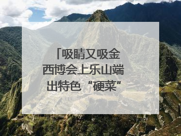 吸睛又吸金 西博会上乐山端出特色“硬菜”｜西博视界