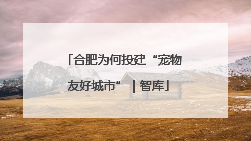 合肥为何投建“宠物友好城市”｜智库