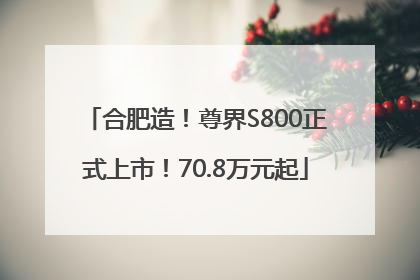 合肥造！尊界S800正式上市！70.8万元起