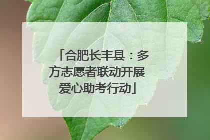 合肥长丰县：多方志愿者联动开展爱心助考行动