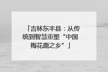 吉林东丰县：从传统到智慧重塑“中国梅花鹿之乡”