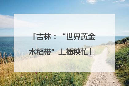 吉林：“世界黄金水稻带”上插秧忙
