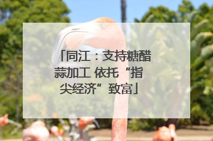 同江：支持糖醋蒜加工 依托“指尖经济”致富