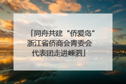 同舟共建“侨爱岛” 浙江省侨商会青委会代表团走进嵊泗