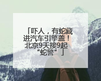 吓人，有蛇藏进汽车引擎盖！北京9天接9起“蛇警”