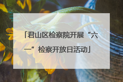 君山区检察院开展“六一”检察开放日活动