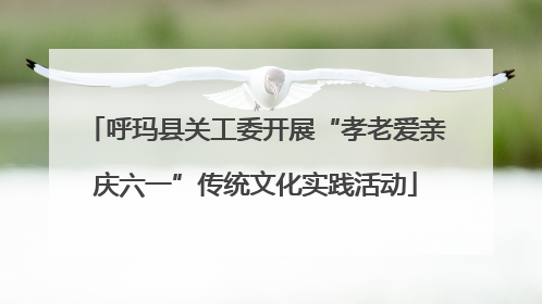 呼玛县关工委开展“孝老爱亲庆六一”传统文化实践活动