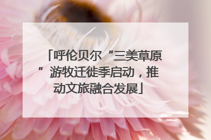 呼伦贝尔“三美草原”游牧迁徙季启动，推动文旅融合发展