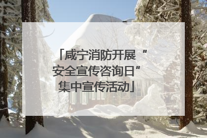 咸宁消防开展“安全宣传咨询日”集中宣传活动