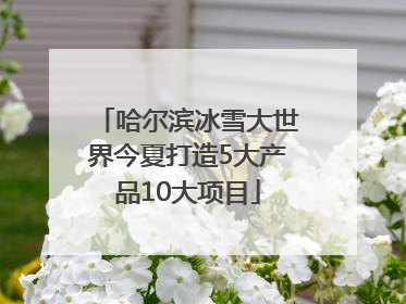 哈尔滨冰雪大世界今夏打造5大产品10大项目