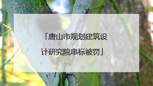 唐山市规划建筑设计研究院串标被罚